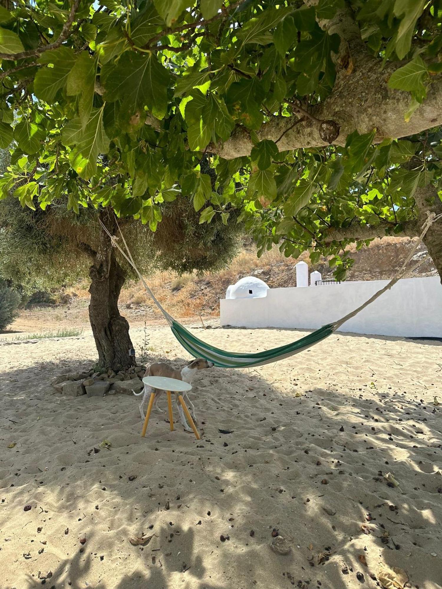 Magnifica Casa A Orillas Del Guadiana 韦尔瓦 外观 照片